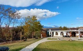 Satul Cu Flori Guest House